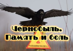 Выставка «Чернобыль. Память и боль»