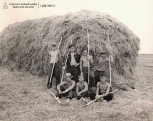 Первый скирд, сложенный студентами-комсомольцами. Казахстан. 1956г.