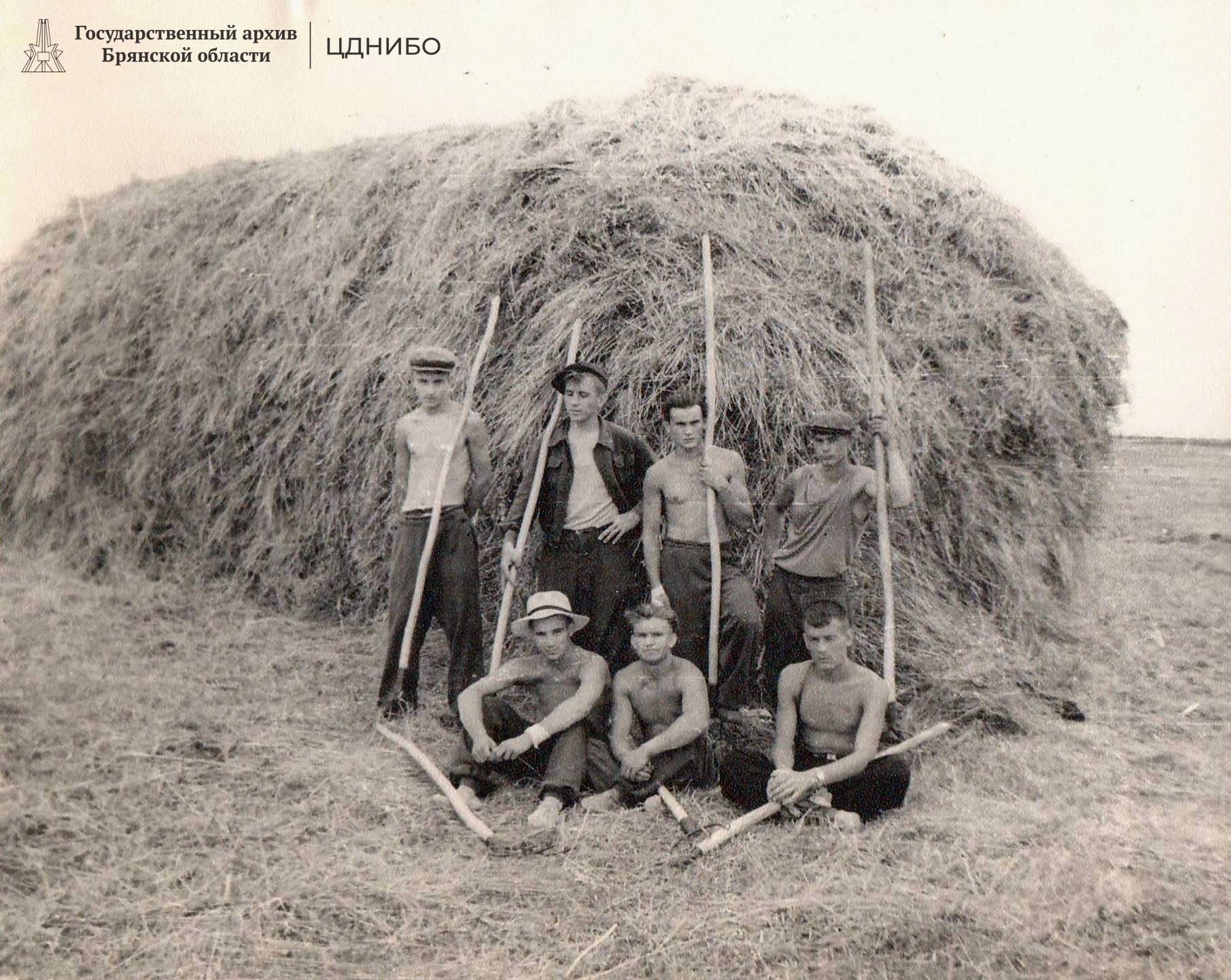 Первый скирд, сложенный студентами-комсомольцами. Казахстан. 1956г.