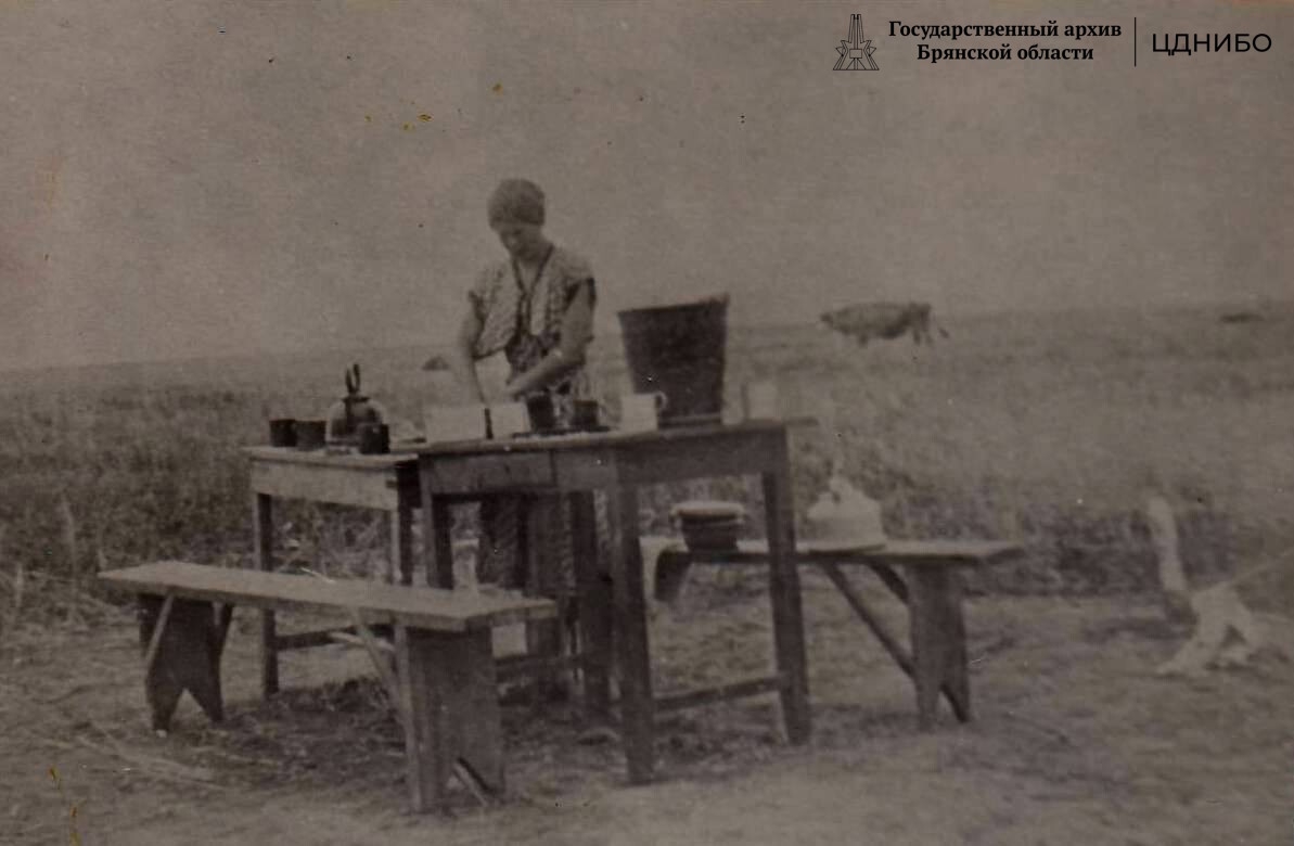 Полевая столовая. Казахстан. 1956г.