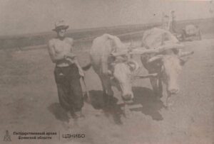 Подвоз воды. За работой студент Д. Бруссер. Казахстан. 1956г.