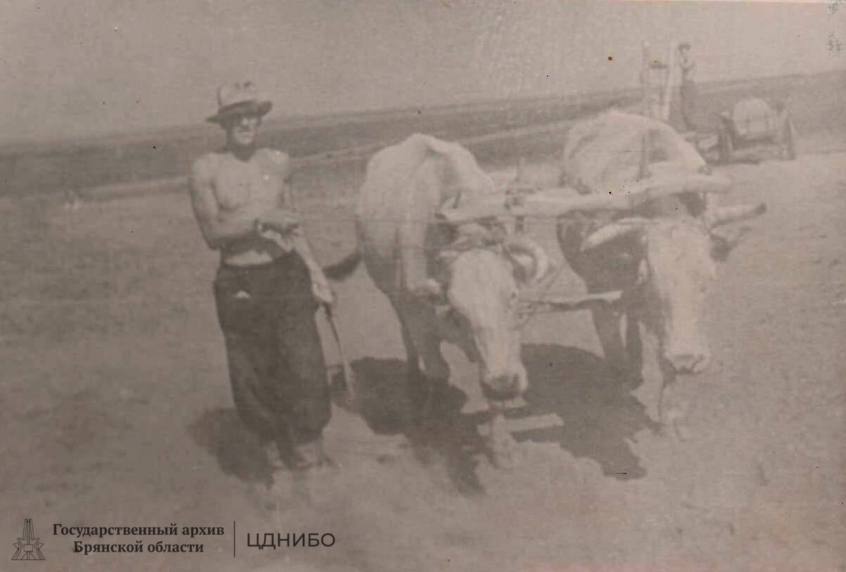 Подвоз воды. За работой студент Д. Бруссер. Казахстан. 1956г.