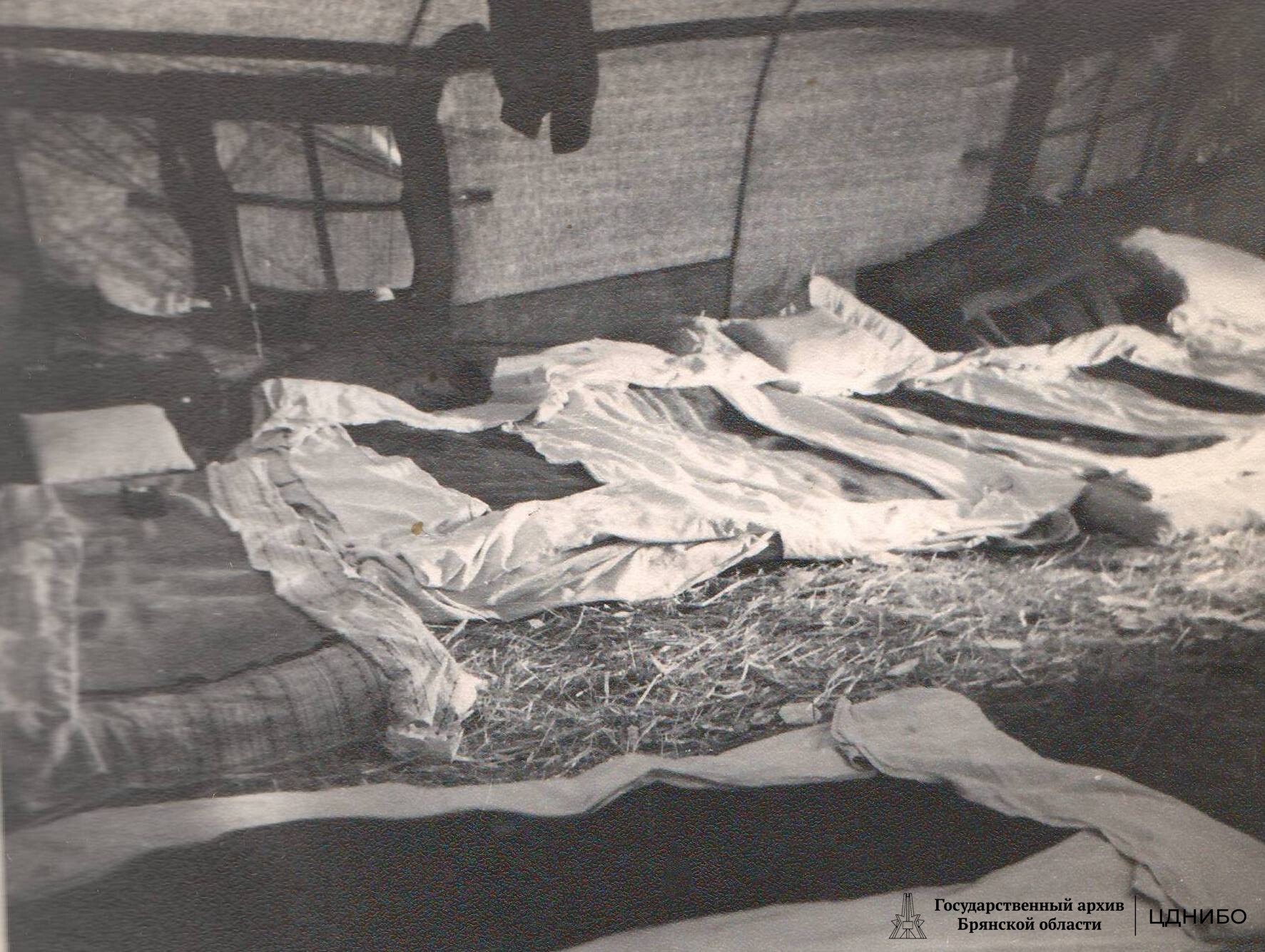 Внутренний интерьер палатки. Казахстан. 1958г.